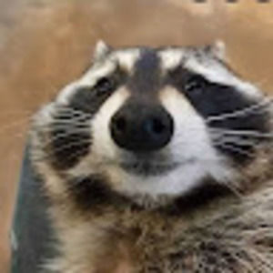 Meet your Posher, Geral